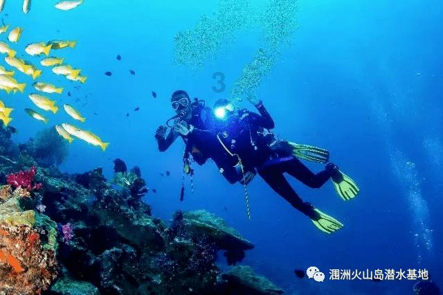 拯救精灵的土地5