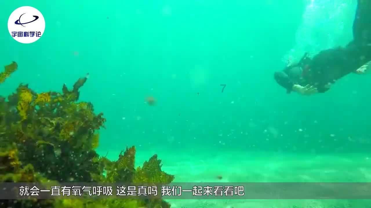 生化危机3