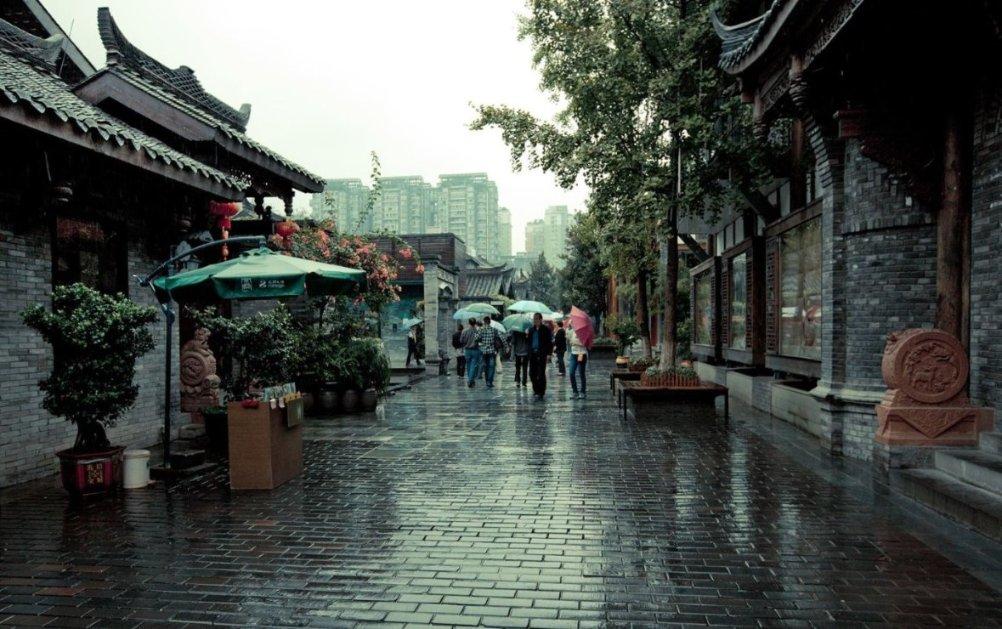 小猫钓鱼游戏龙王版有船